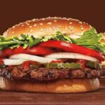 Burger King Chicken Burger Review